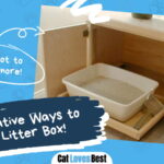 How to Hide Litter Box