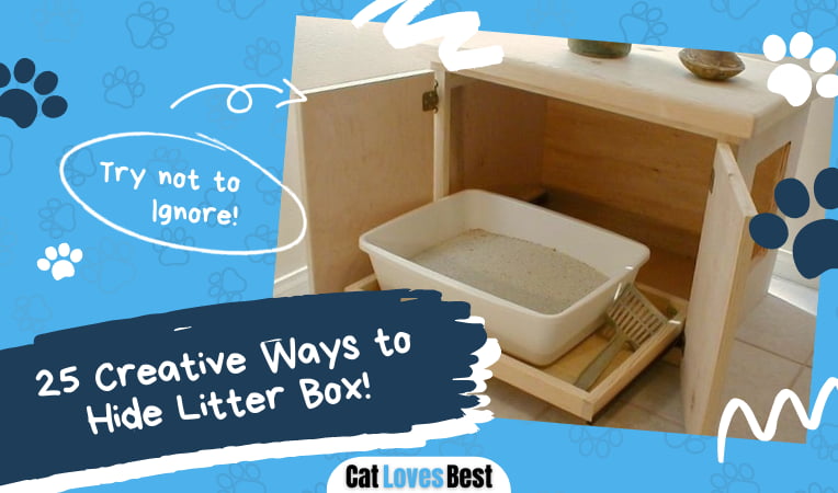 How to Hide Litter Box