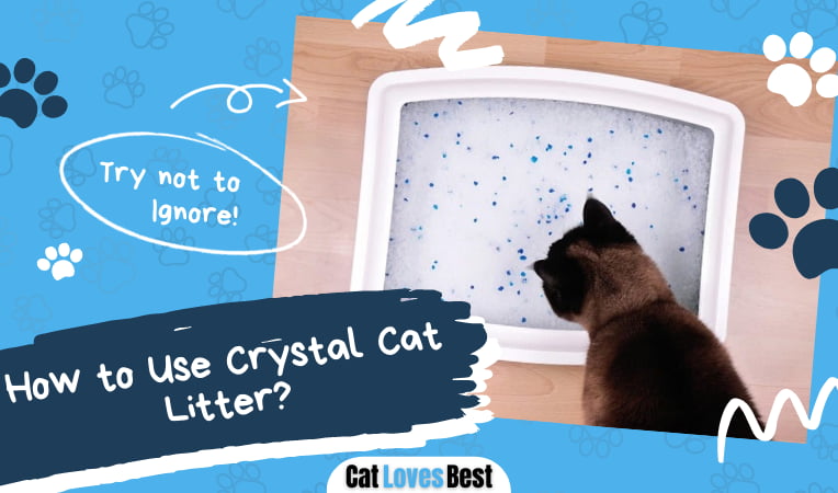 How to Use Crystal Cat Litter