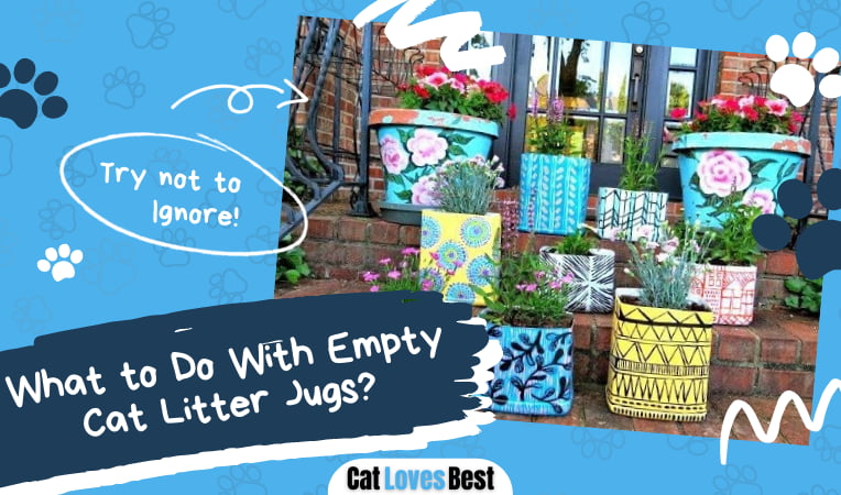 What to Do With Empty Cat Litter Jugs