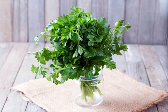 parsley safe for cats