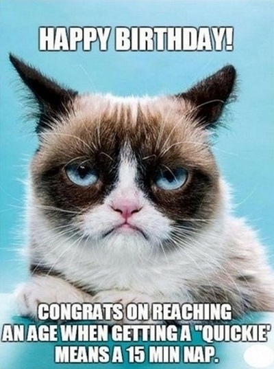 sarcastic birthday kitten meme