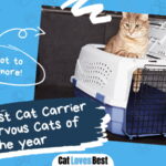 Best Cat Carrier for Nervous Cats