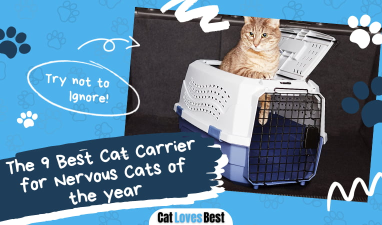 Best Cat Carrier for Nervous Cats