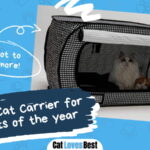 Best Cat Carrier for Two Cats