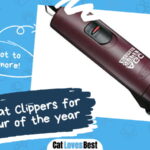 Best Cat Hair Clippers