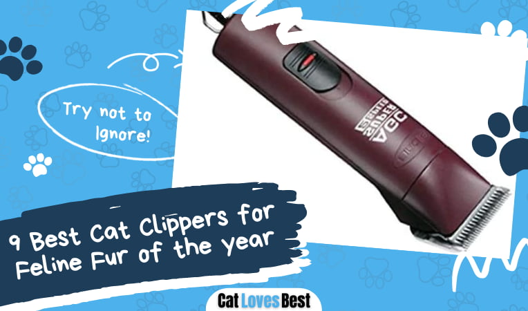 Best Cat Hair Clippers