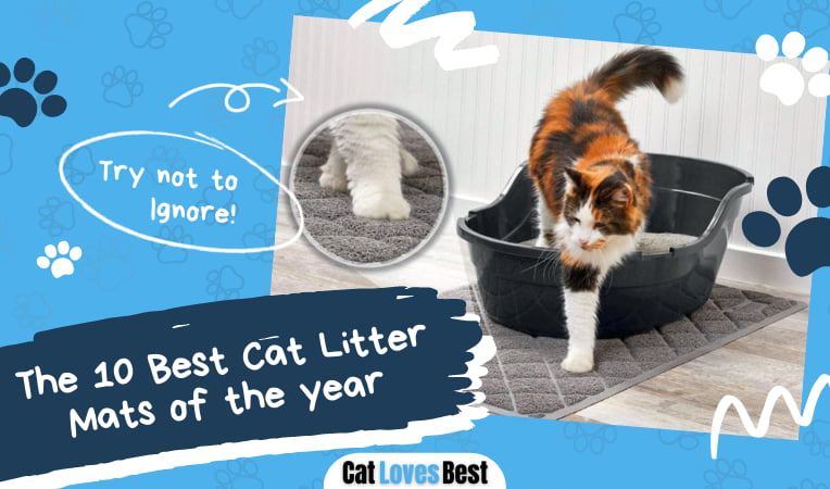 Best Cat Litter Mats