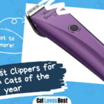 Best Clippers for Persian Cats