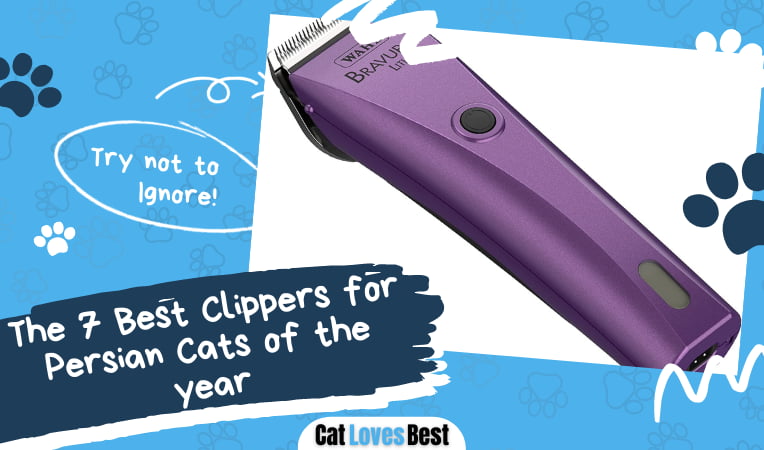 Best Clippers for Persian Cats