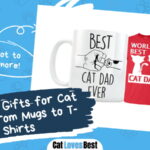 Best Gifts for Cat Dads