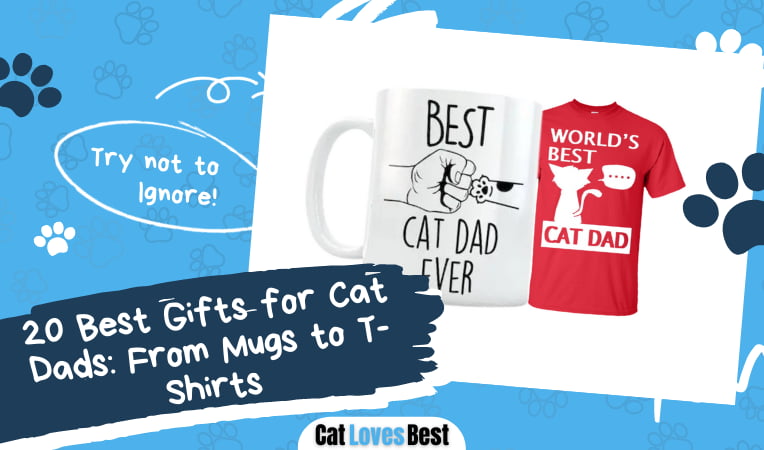 Best Gifts for Cat Dads