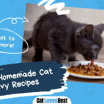 Homemade Cat Gravy Recipes