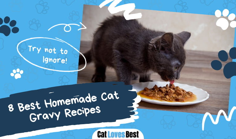 Homemade Cat Gravy Recipes