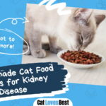 Kidney Disease Cat Food Recipes