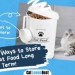 Store Dry Cat Food Long Term