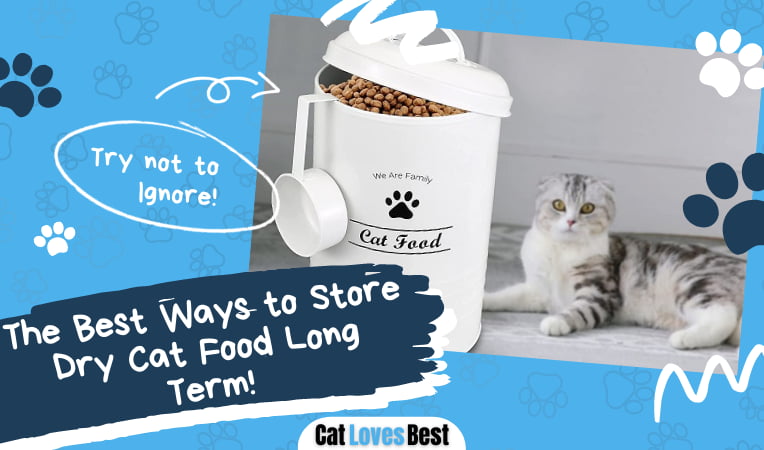 Store Dry Cat Food Long Term