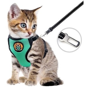 Awoof adjustable escape proof kitty harness