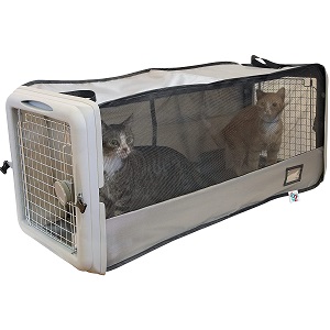 best cat carrier for two cats
