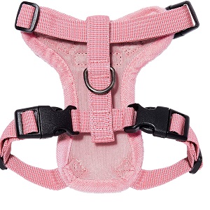 Best Pet Supplies Voyager Step-in Lock Cat Harness
