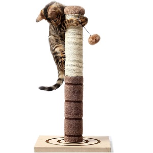 best scratching post for kitten