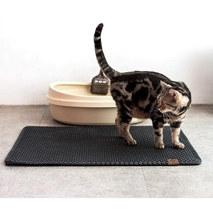 Black Hole Kitty Litter Mat