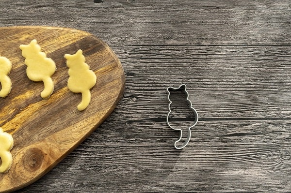cat treat recipes