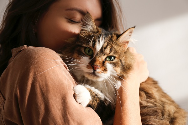 cats who dislike cuddle