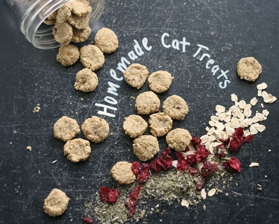 cranberry and catnip special treats