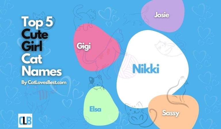 cute girl cat names