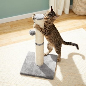 frisco sisal kitten scratching post