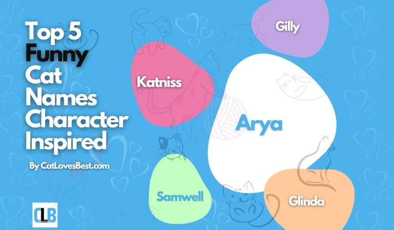 funny names inspired from characters