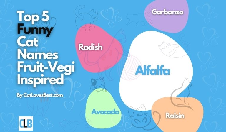 funny names inspired from fruits vegetables