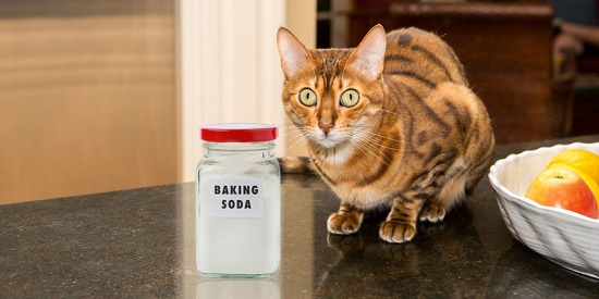 is baking soda toxic to cats
