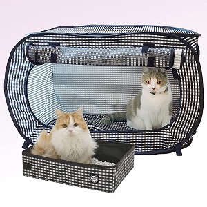 necoichi cat carrier for two cats