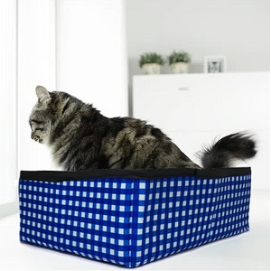 Portable Litter Box for Kittens by Pet Fit for Life Store