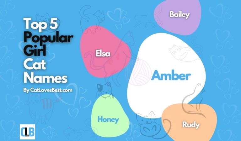 popular female cat names