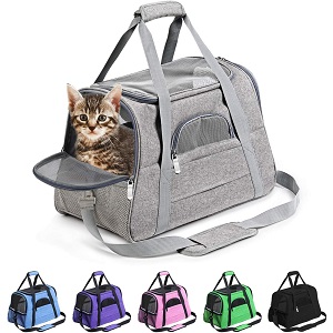 Prodigen Pet Carrier for Nervous Cats