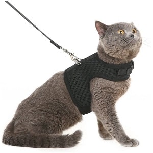 Pupteck vest escape proof cat harness