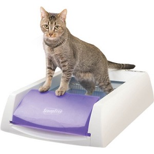 Self-Cleaning Kitten Litter Box by Scoopfree