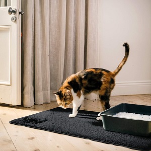 Litter Mat from Smiling Paws