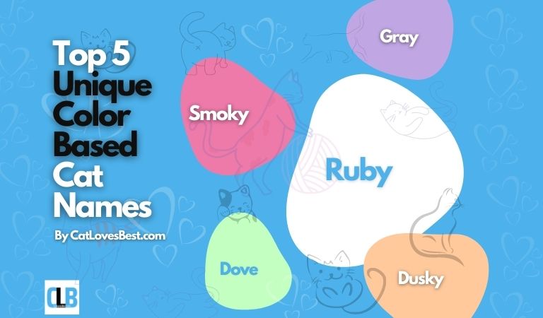 unique cat names based on color