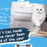Cat Foods That Have Never Been Recalled