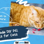 DIY Pill Pockets for Cats