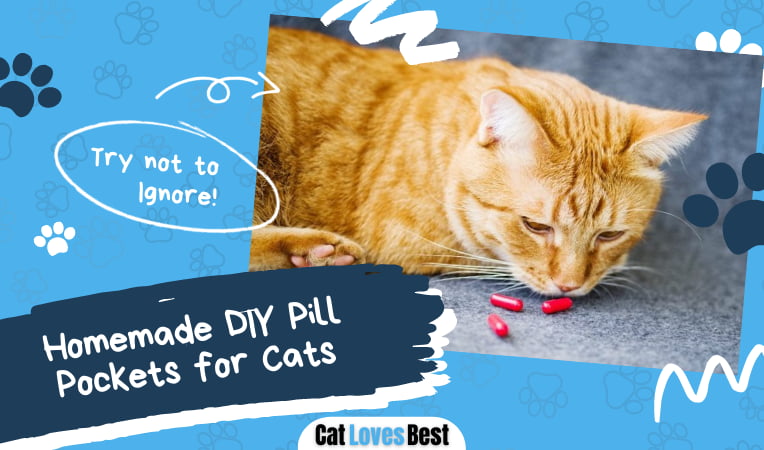 DIY Pill Pockets for Cats