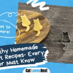 Healthy Homemade Cat Treat Recipes