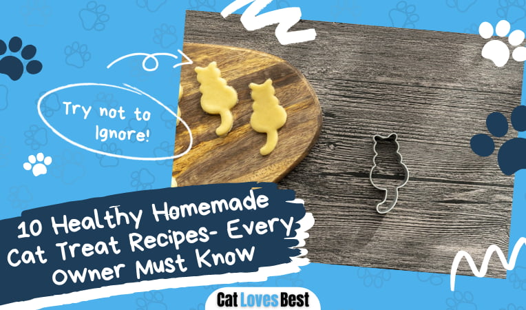 Healthy Homemade Cat Treat Recipes