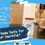 Is Baking Soda Safe for Cats