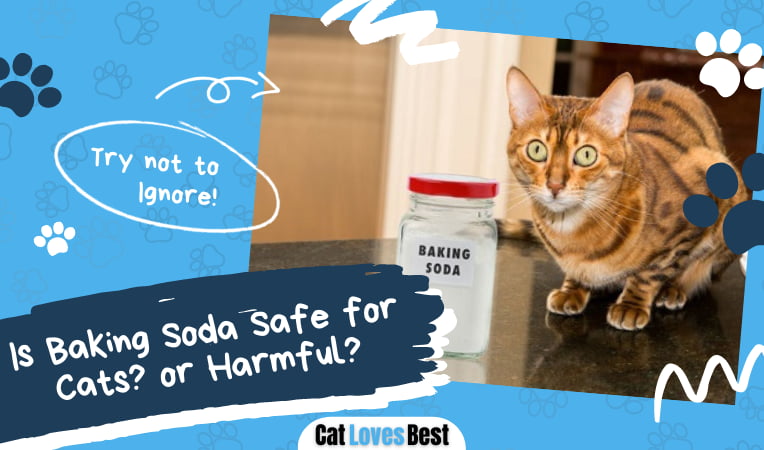 Is Baking Soda Safe for Cats