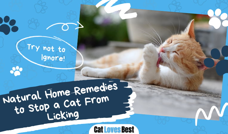 Remedies to Stop a Cat From Licking